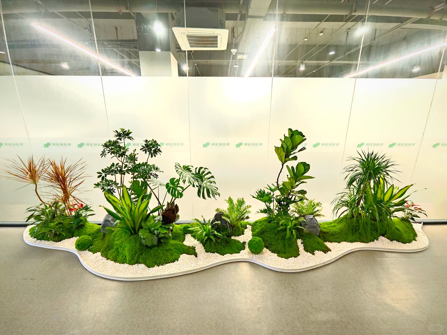 宁波奉化花木租赁，价格超实惠，美翻你的空间！