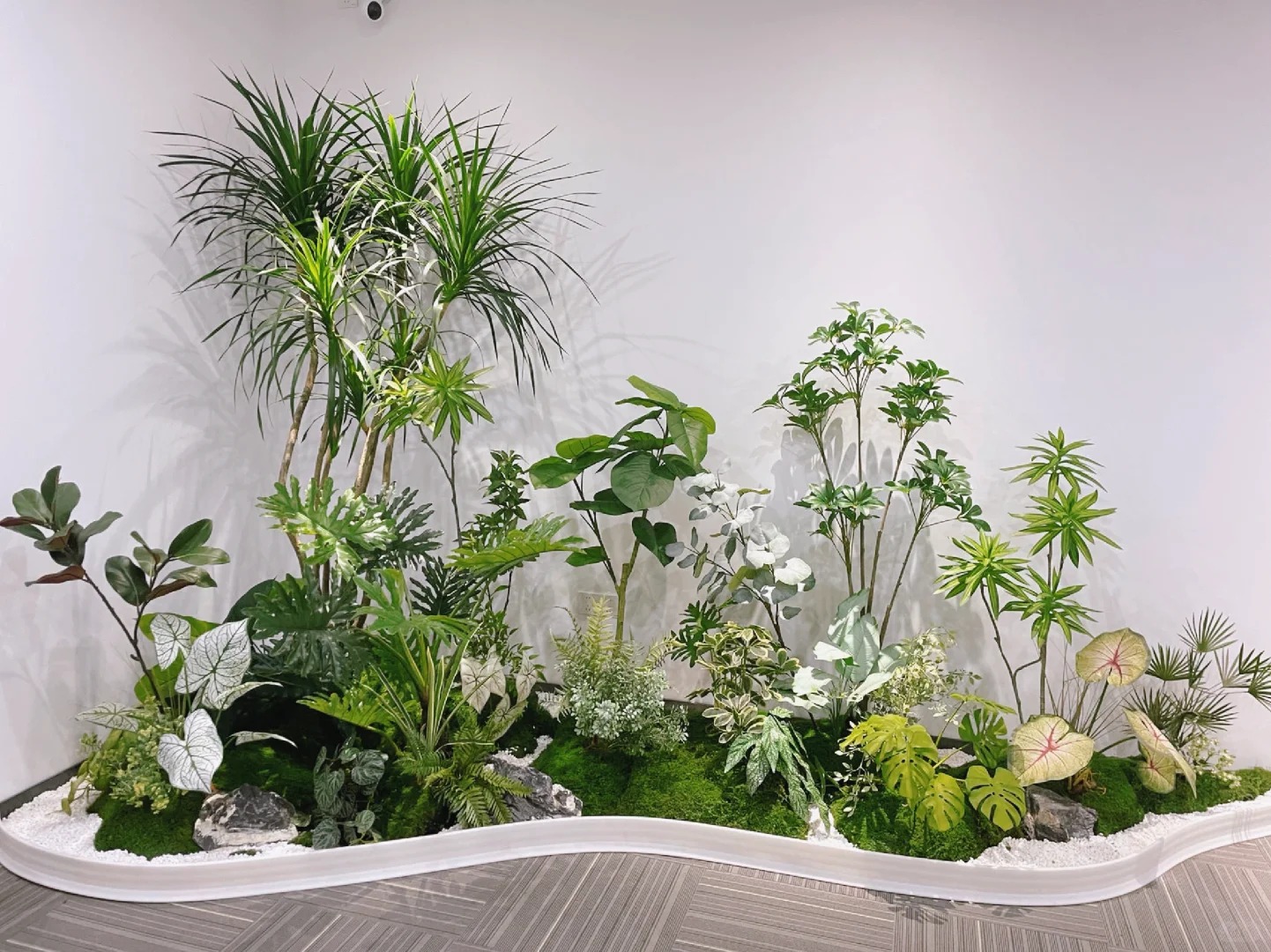 想让空间焕新？宁波杭州湾盆景出租公司等你来